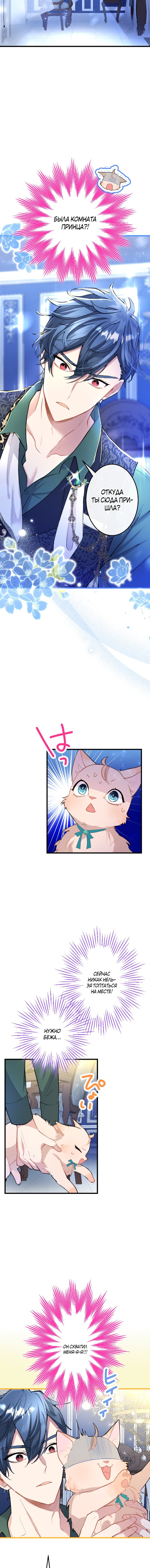 Манга Почему эта леди одевается, как мужчина? - Глава 50 Страница 13