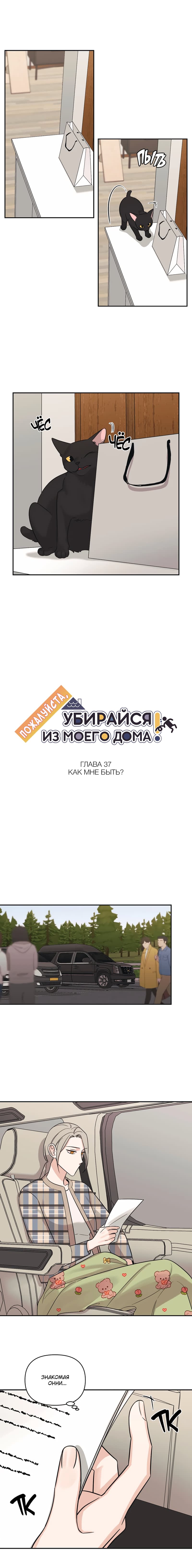 Манга Пожалуйста, убирайся из моего дома - Глава 37 Страница 1