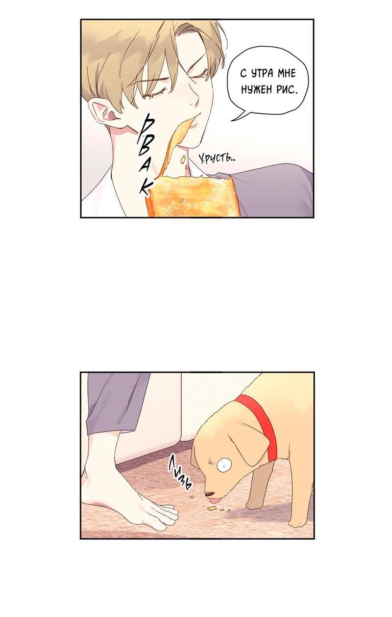 Манга Любовник на 4 недели - Глава 122 Страница 15