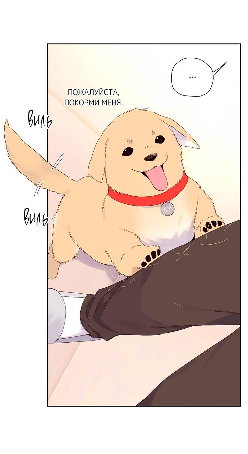 Манга Любовник на 4 недели - Глава 121 Страница 14