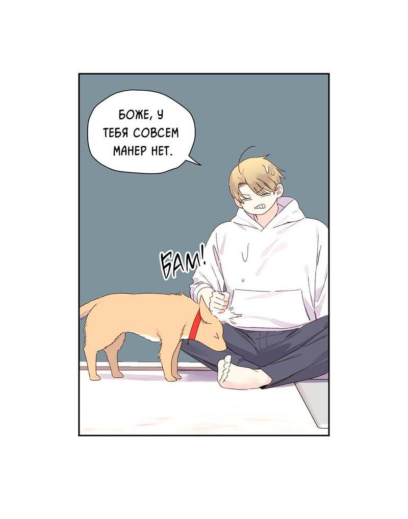 Манга Любовник на 4 недели - Глава 121 Страница 21