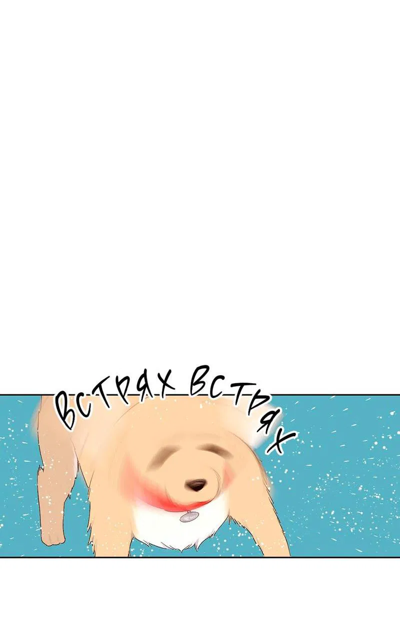 Манга Любовник на 4 недели - Глава 121 Страница 20