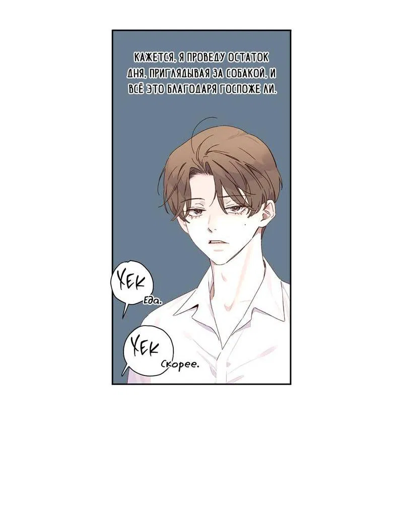 Манга Любовник на 4 недели - Глава 121 Страница 16