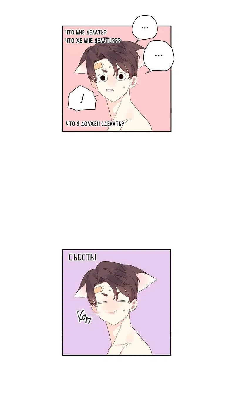 Манга Любовник на 4 недели - Глава 106 Страница 19