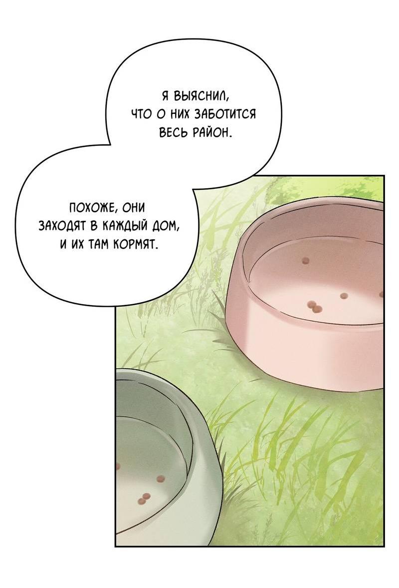 Манга Дорогой романтичный капитан - Глава 70 Страница 52