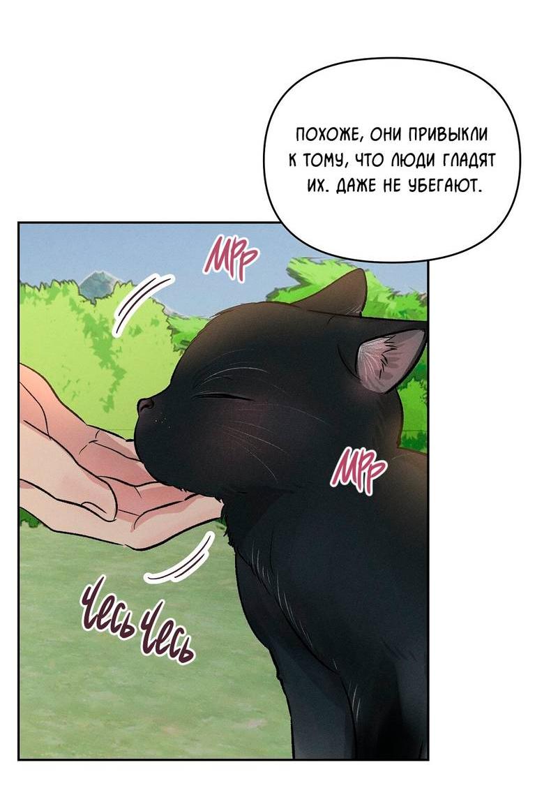 Манга Дорогой романтичный капитан - Глава 67 Страница 49