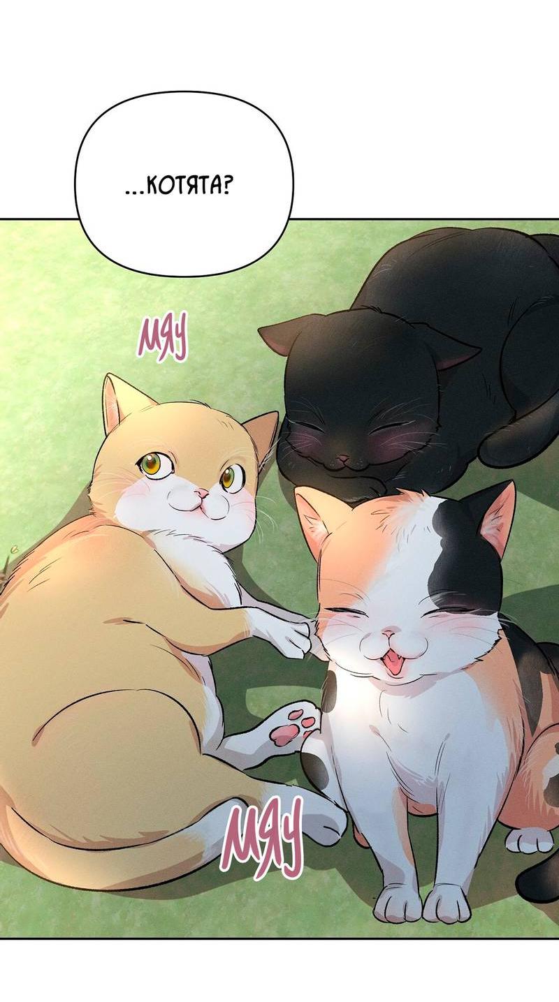 Манга Дорогой романтичный капитан - Глава 67 Страница 48