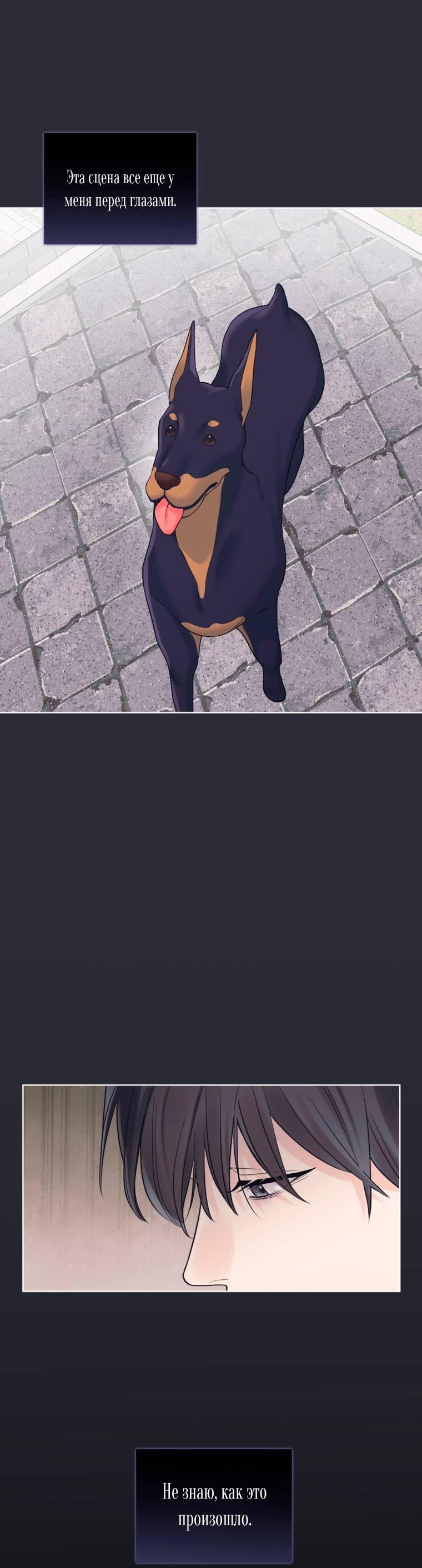 Манга Монохромные слухи - Глава 76 Страница 18