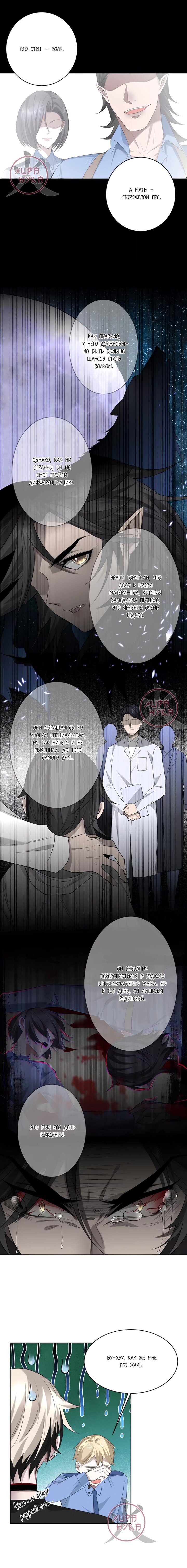 Манга Хищник - Глава 53 Страница 3