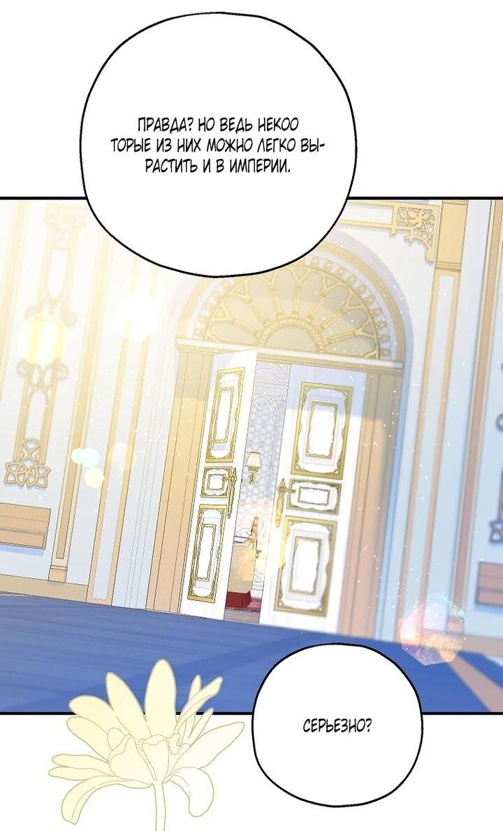 Манга План приёмной невесты по расторжению помолвки - Глава 111 Страница 21