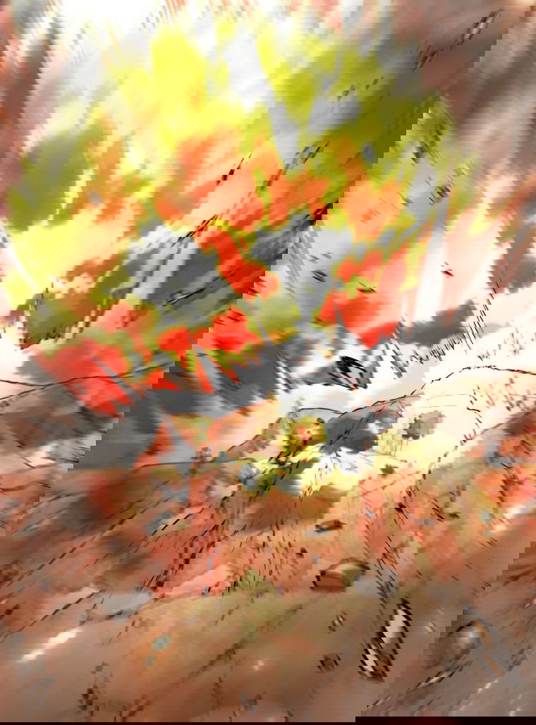 Манга Ранкер, который всё время спит - Глава 124 Страница 21