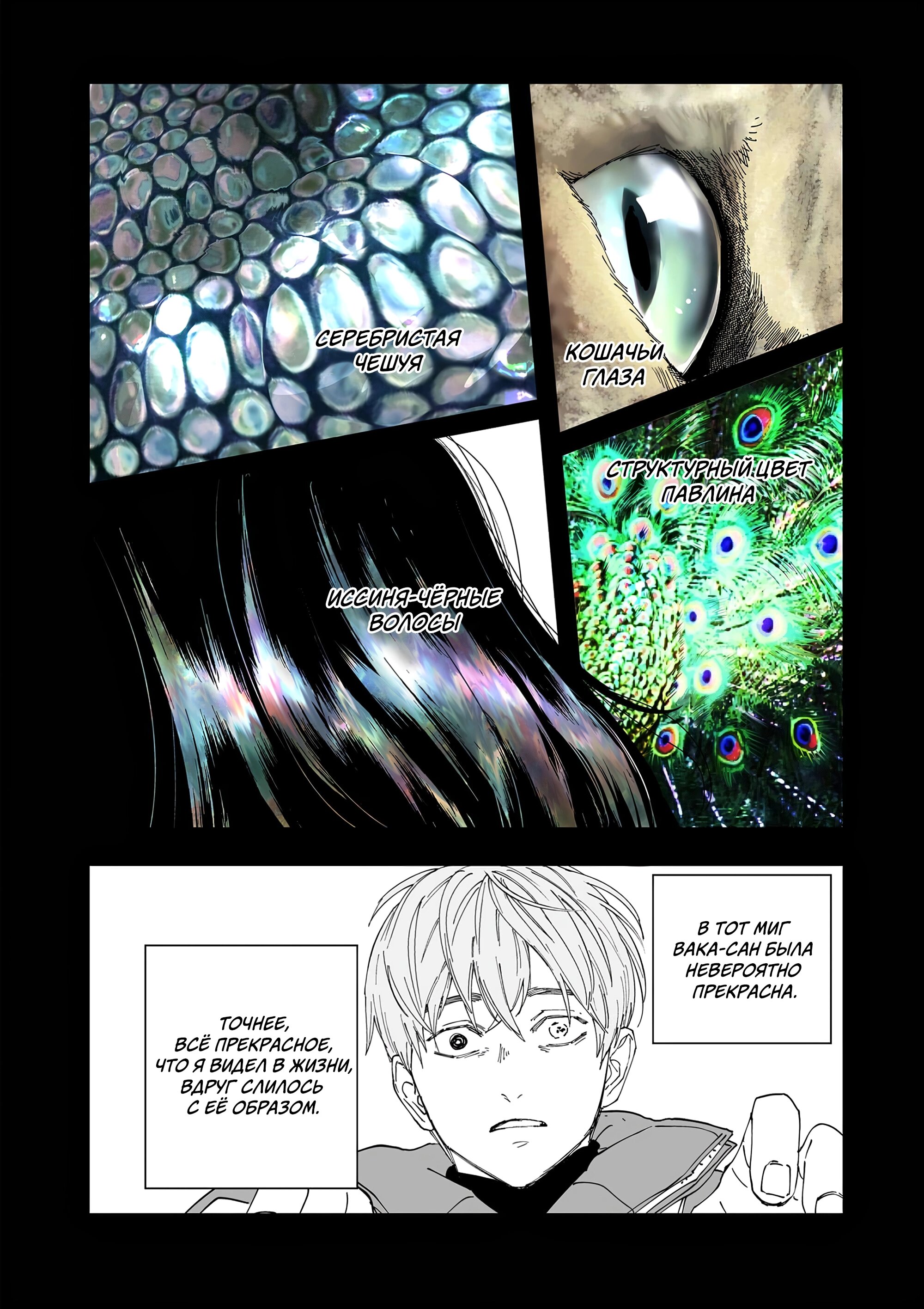 Манга Выше богов - Глава 82 Страница 22