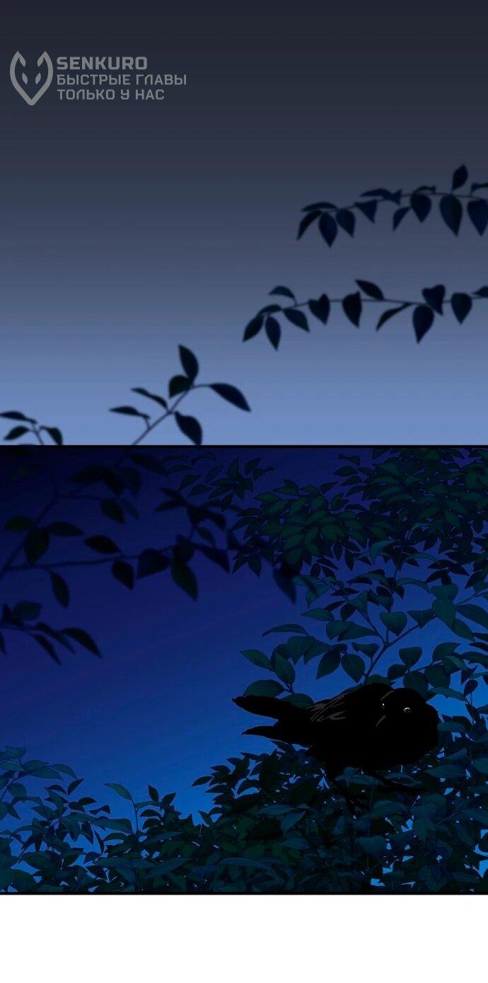 Манга Ночь теней - Глава 67 Страница 15