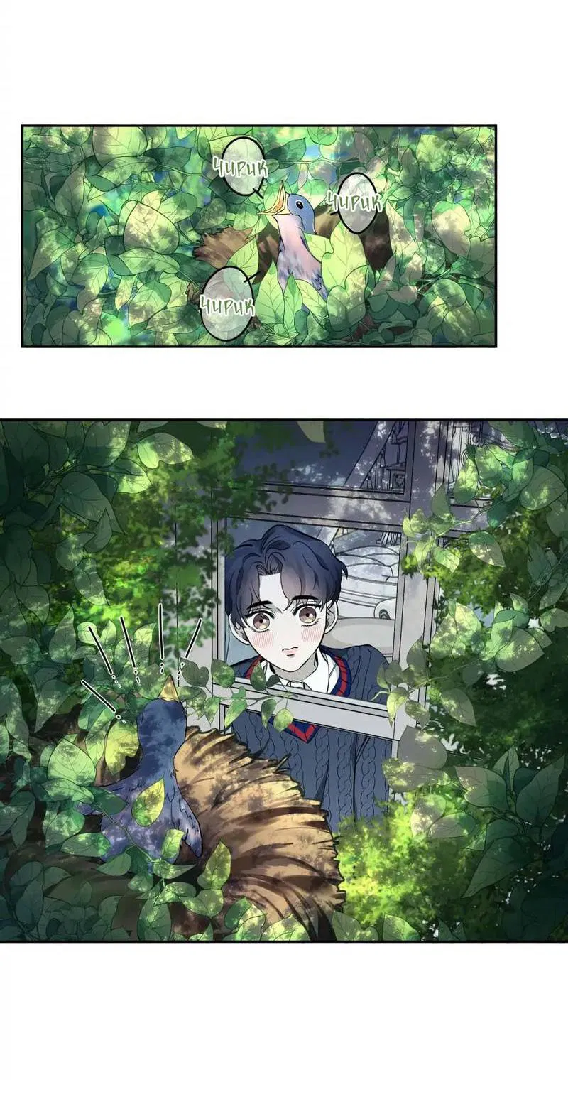 Манга Нежная ночь - Глава 67 Страница 3