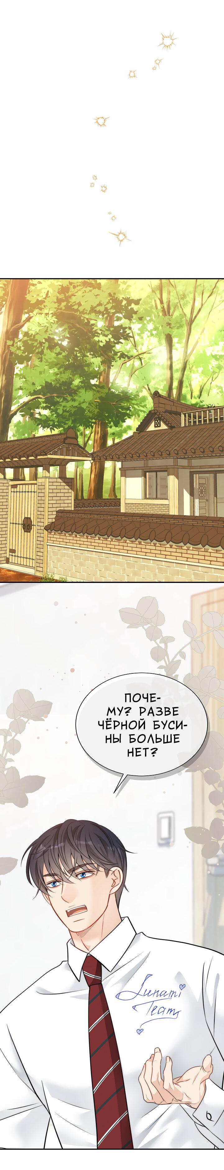 Манга Тайный брак господина лиса - Глава 96 Страница 11