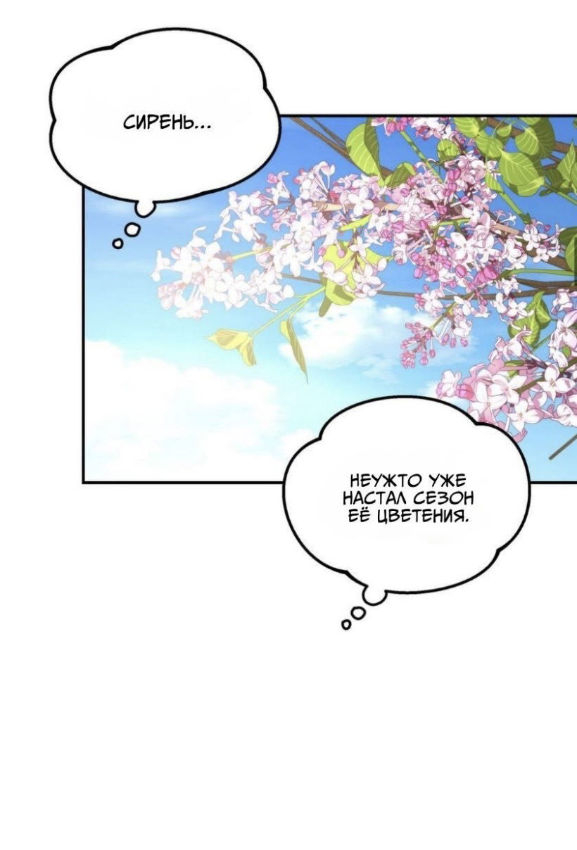 Манга Дерево без корней - Глава 98 Страница 20