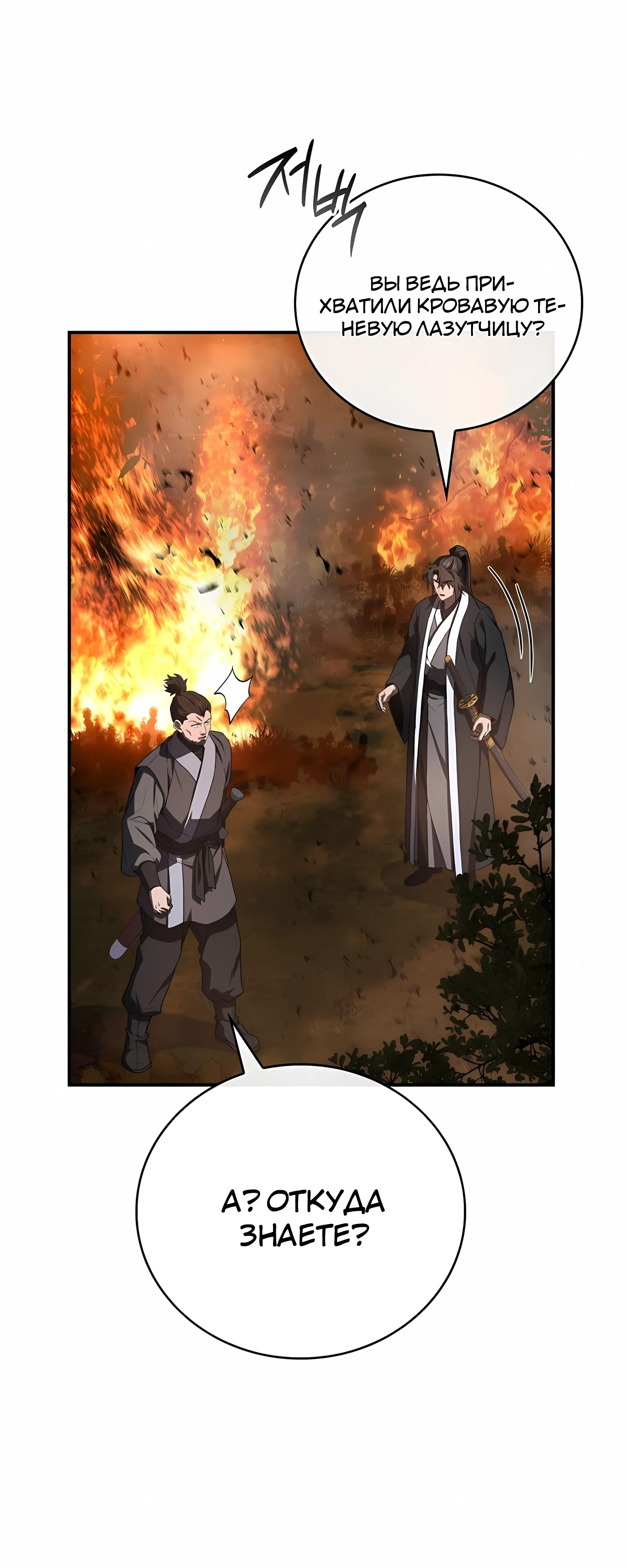 Манга Реинкарнация наёмного воина - Глава 131 Страница 51