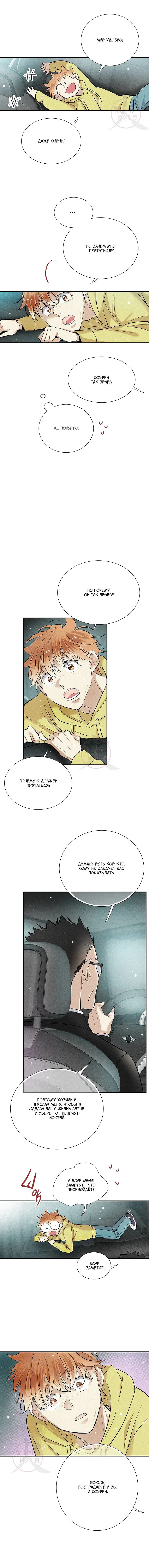 Манга Всем известная любовь - Глава 38 Страница 6