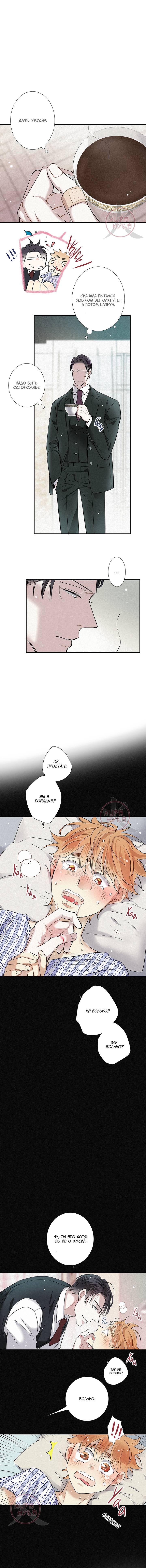 Манга Всем известная любовь - Глава 45 Страница 4