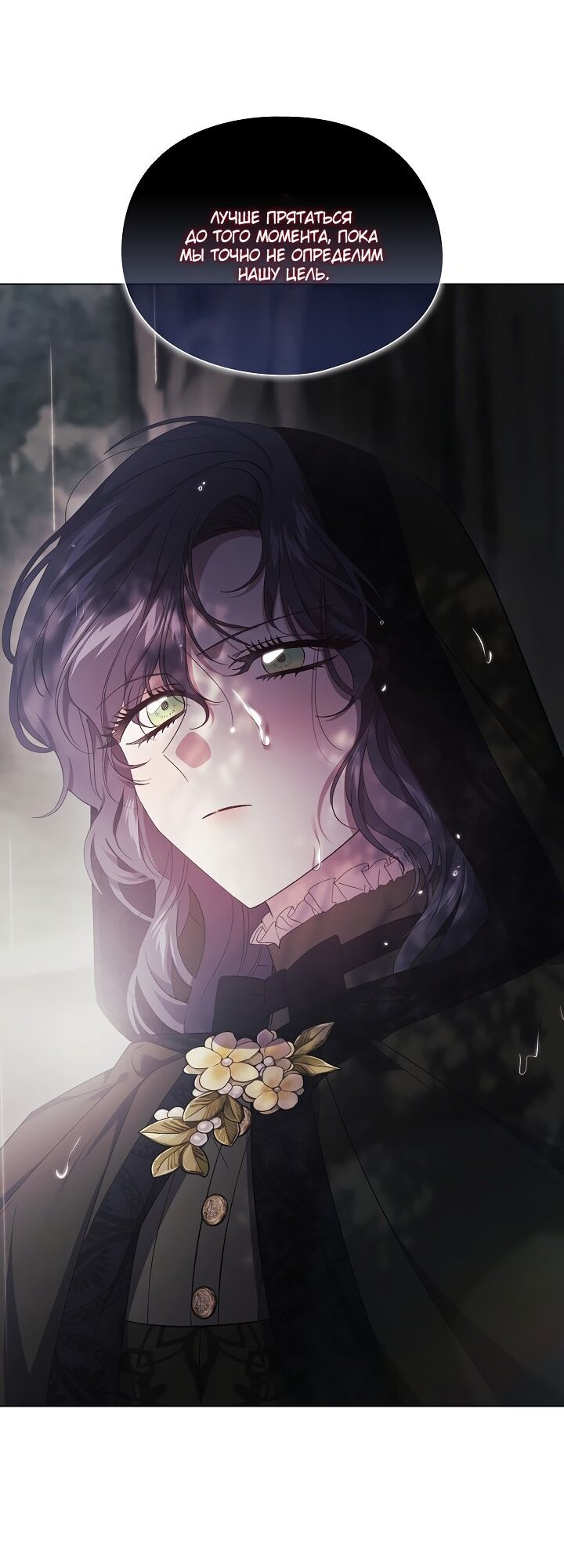 Манга Я не верю своей сестре-близняшке - Глава 37 Страница 25