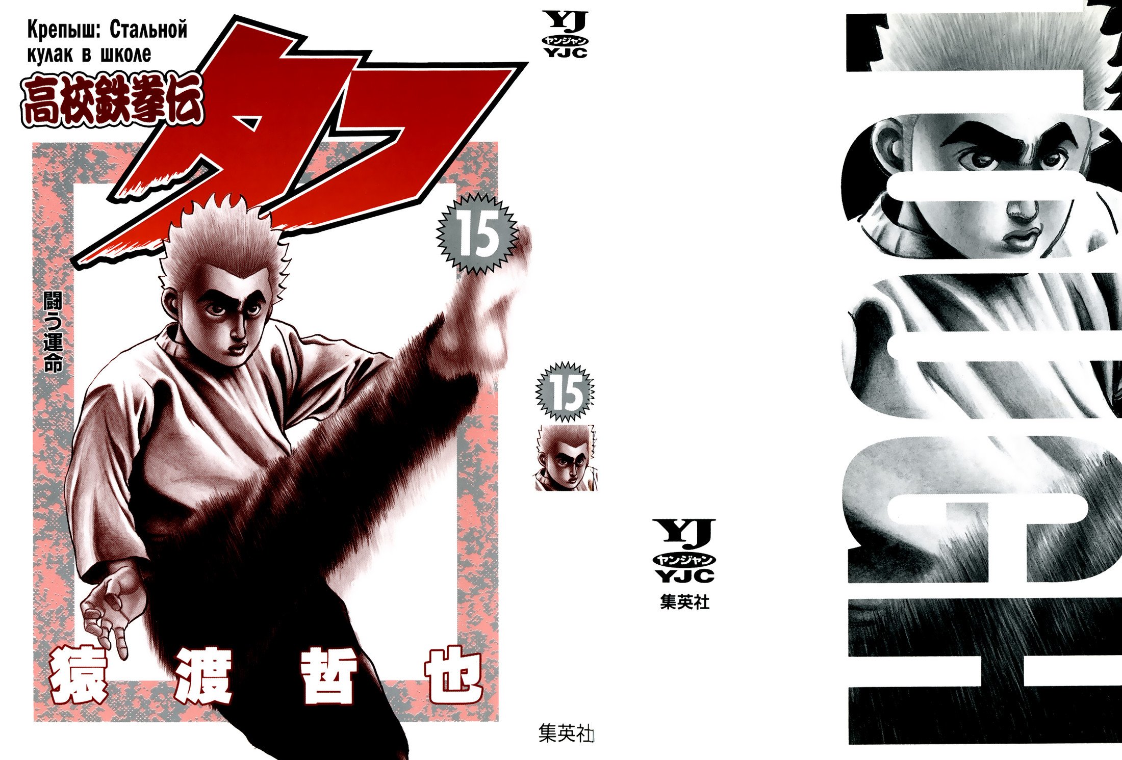 Манга Крепыш: Стальной кулак в школе - Глава 147 Страница 2