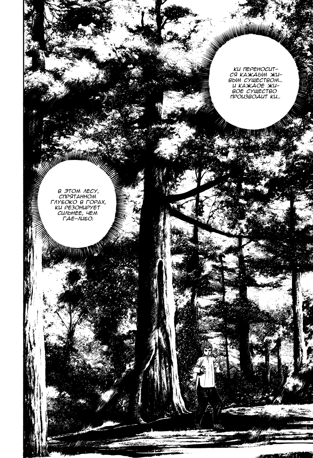 Манга Крепыш: Стальной кулак в школе - Глава 94 Страница 10