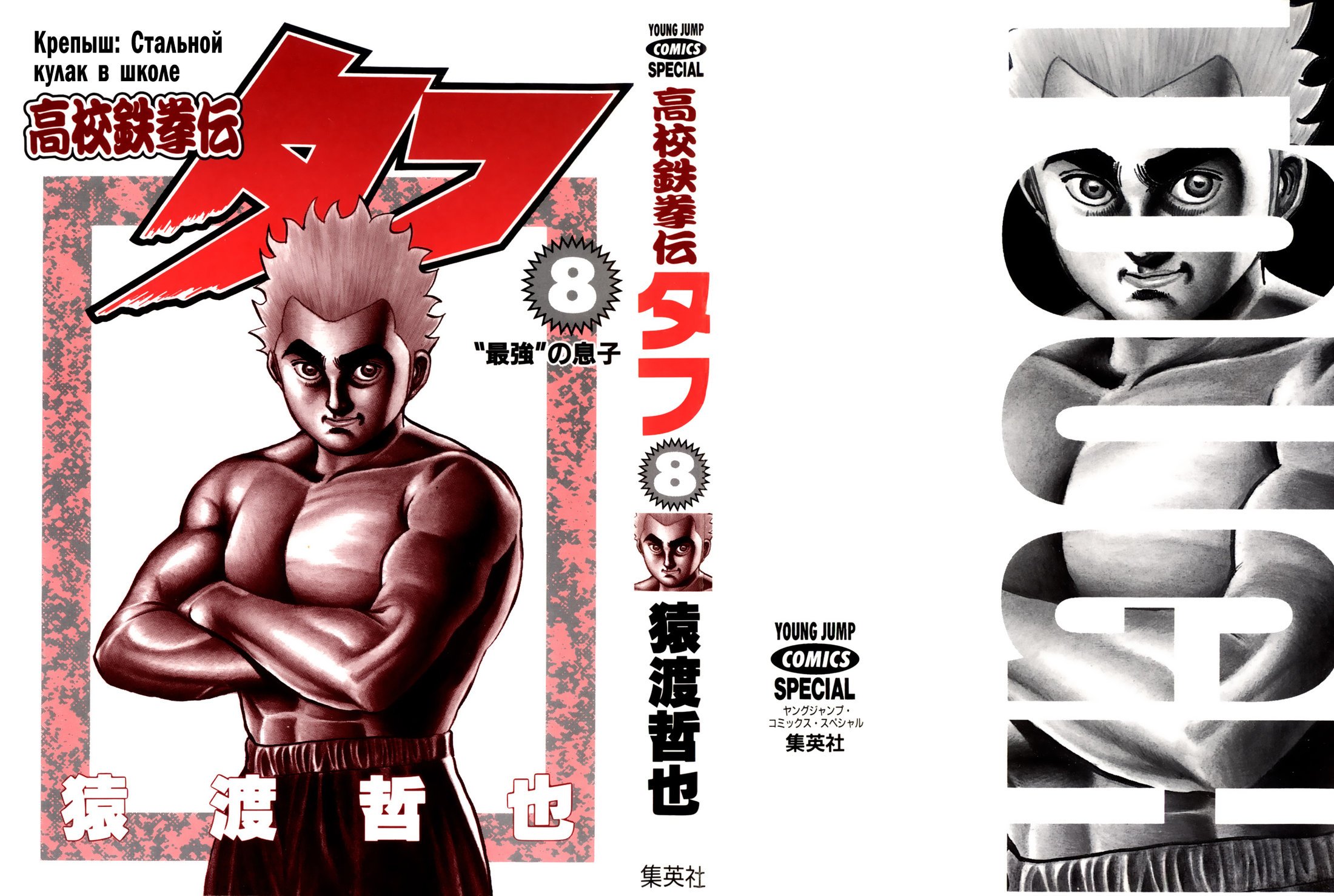 Манга Крепыш: Стальной кулак в школе - Глава 71 Страница 3