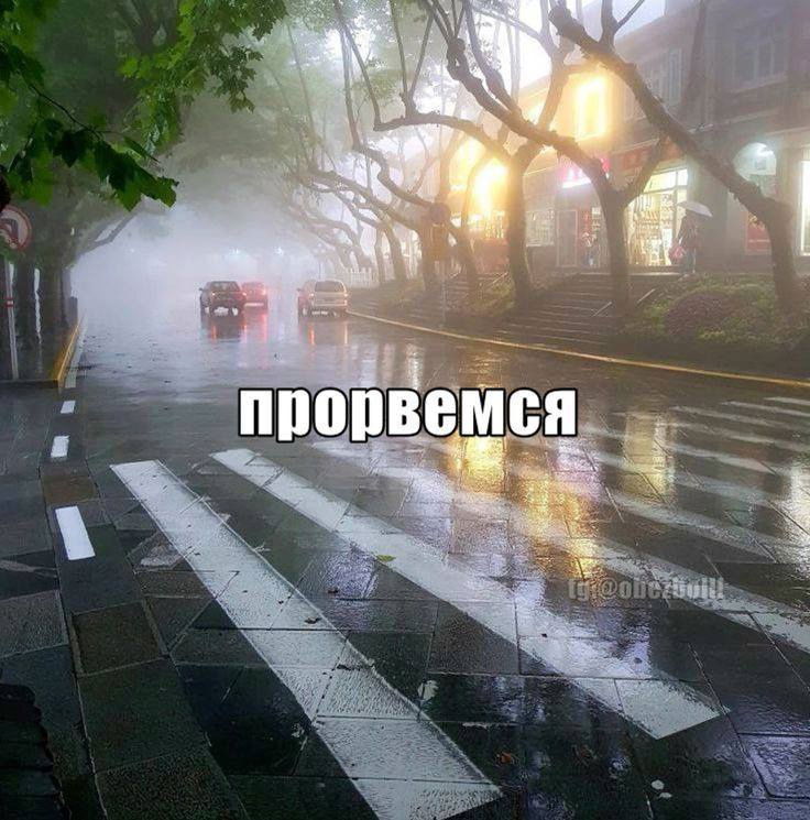 Манга Мистер Улитка - Глава 91 Страница 18