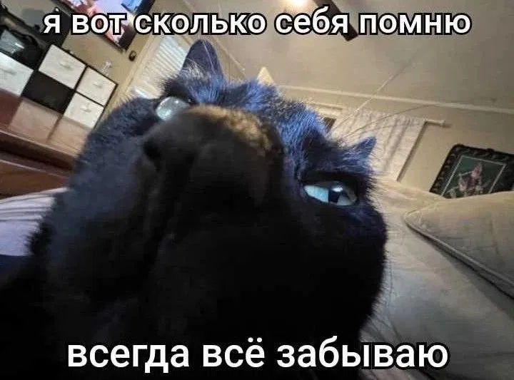 Манга Мистер Улитка - Глава 86 Страница 15