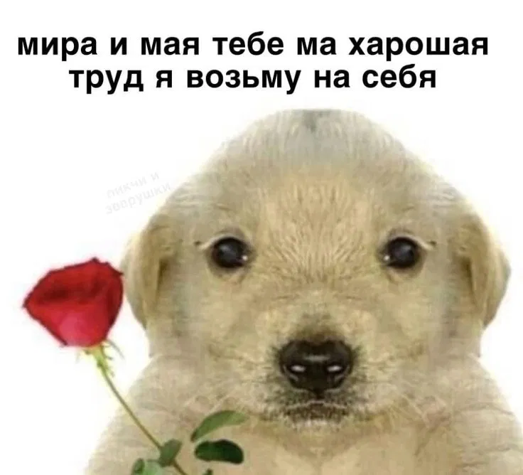 Манга Мистер Улитка - Глава 84 Страница 5