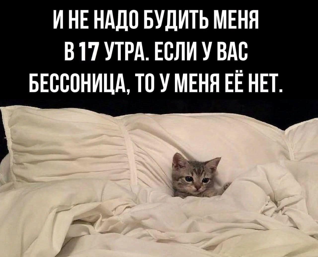 Манга Мистер Улитка - Глава 57 Страница 5