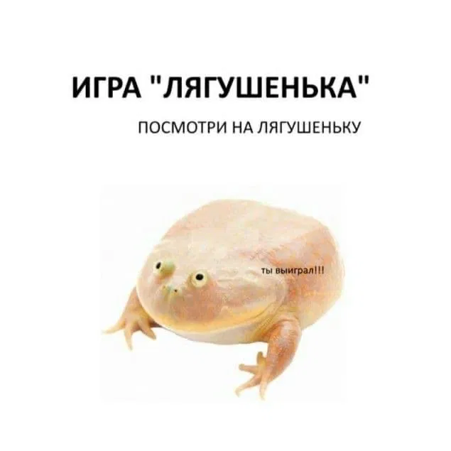 Манга Мистер Улитка - Глава 48 Страница 5