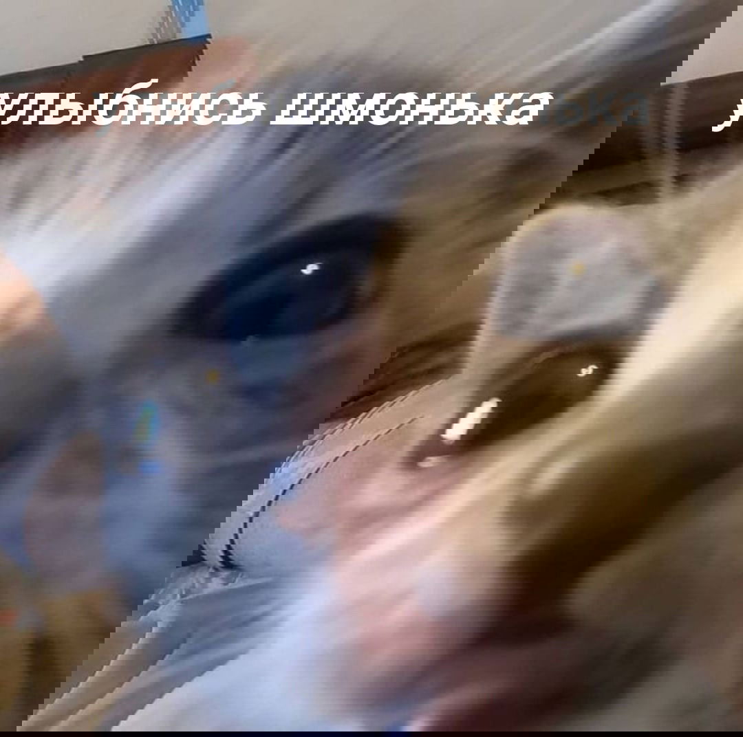 Манга Мистер Улитка - Глава 25 Страница 6