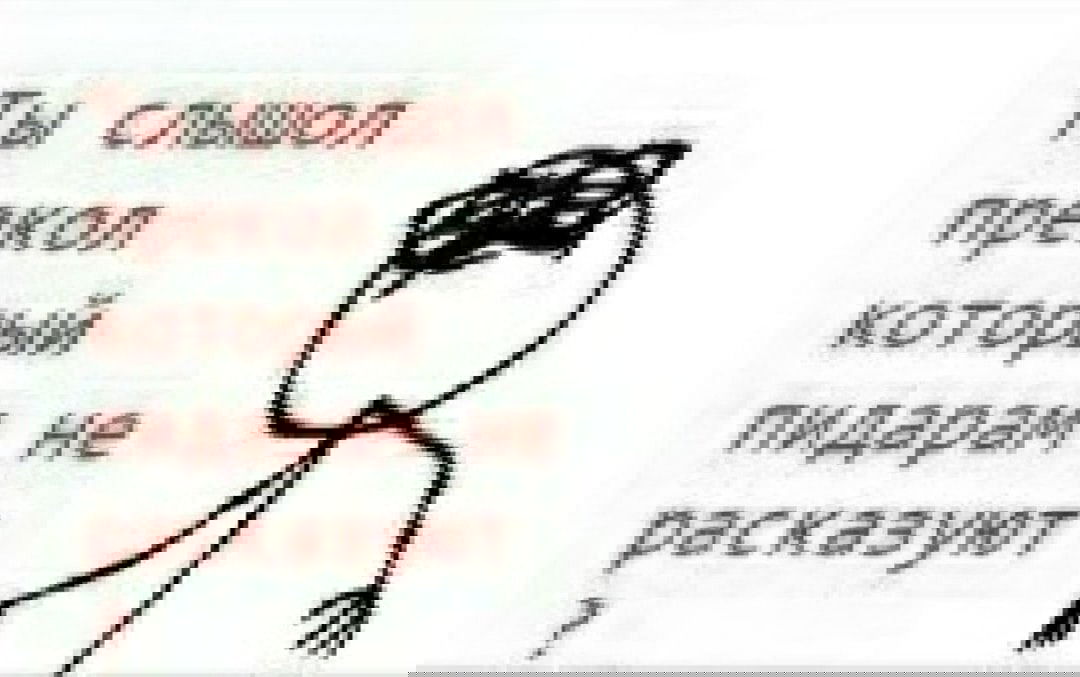 Манга Мистер Улитка - Глава 24 Страница 5