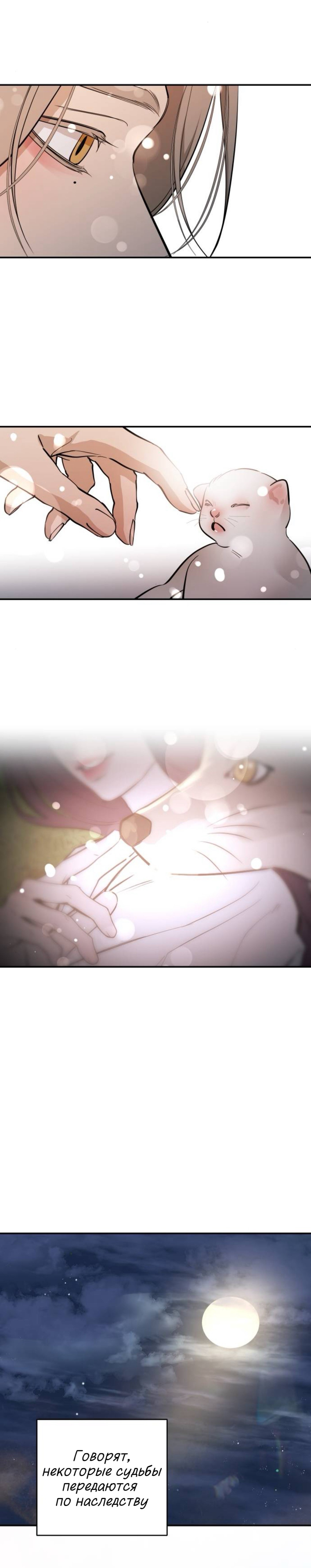 Манга Сказание о фее - Глава 143 Страница 79