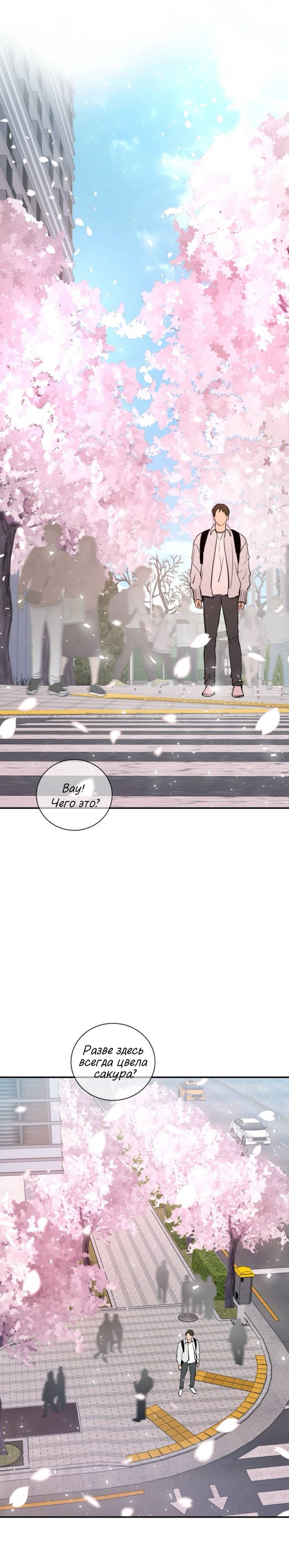 Манга Сказание о фее - Глава 144 Страница 60