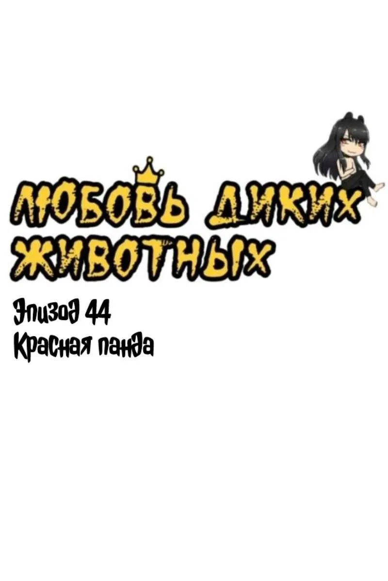 Манга Любовь диких животных - Глава 44 Страница 12