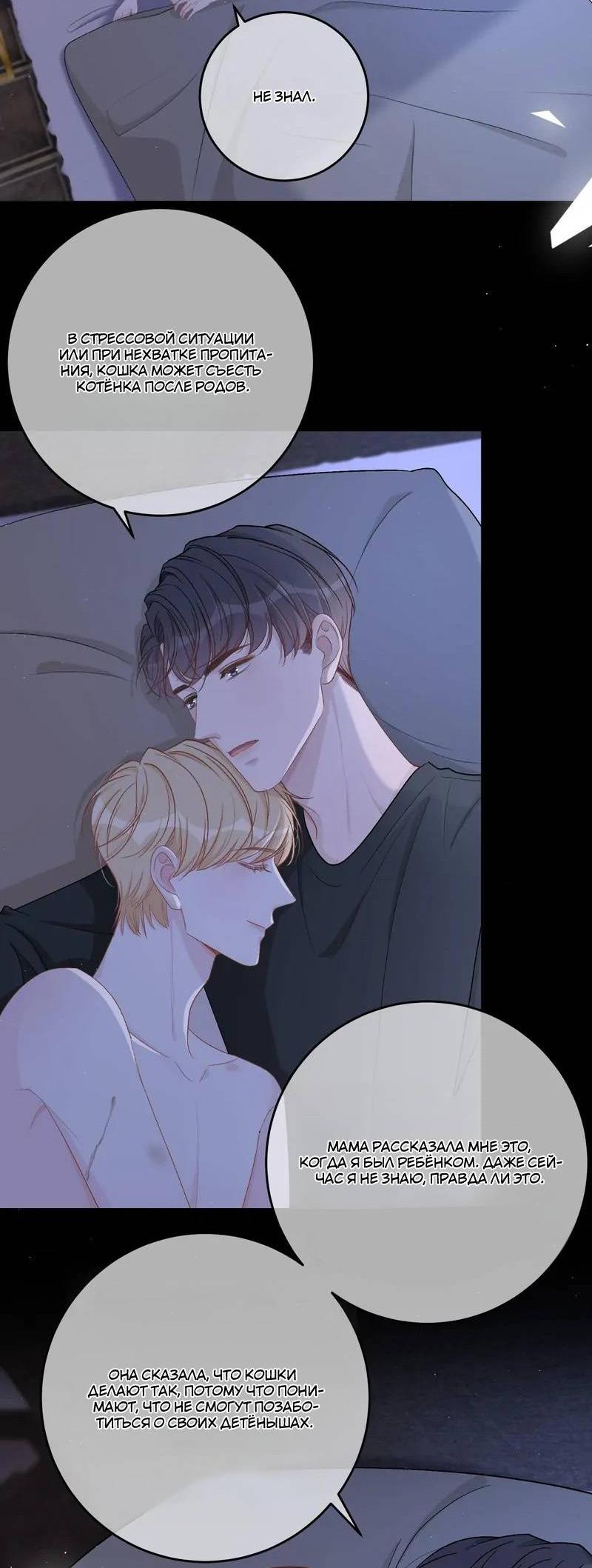 Манга До и после развода - Глава 51 Страница 5