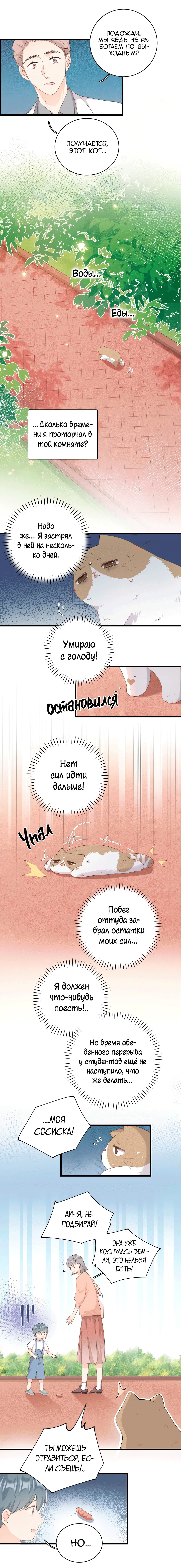 Манга Кошачье возмездие - Глава 26 Страница 4