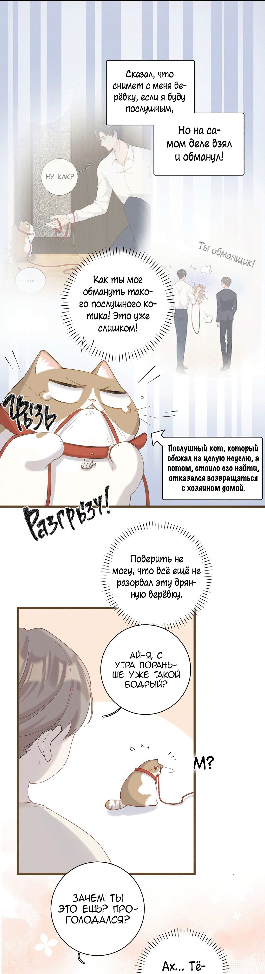 Манга Кошачье возмездие - Глава 28 Страница 4