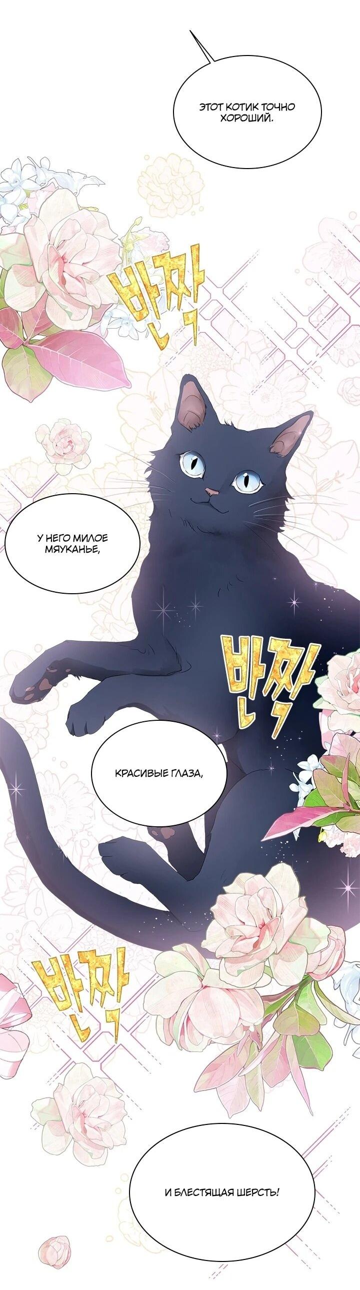 Манга Кто-нибудь, отговорите моих братьев - Глава 51 Страница 27