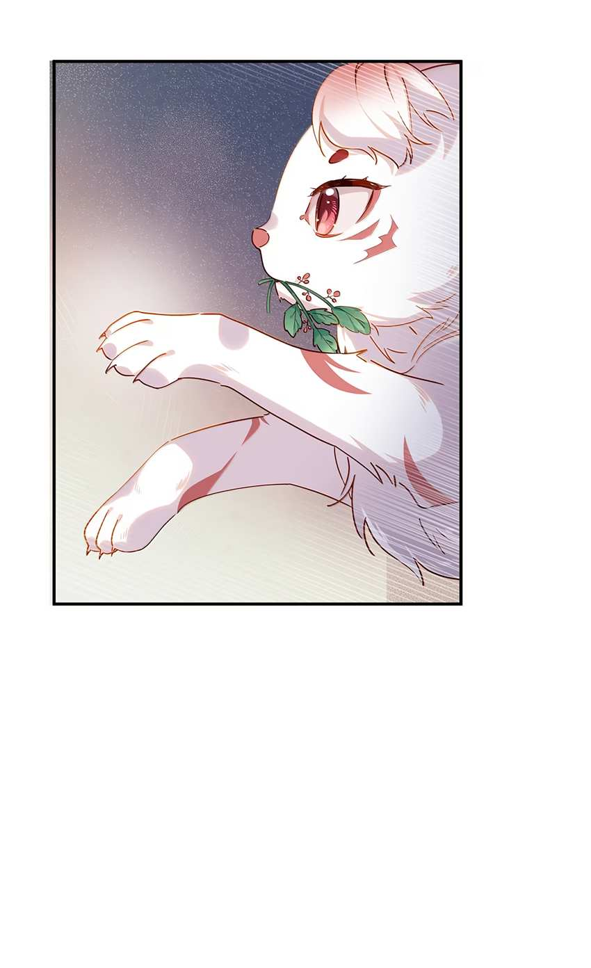 Манга Пожалуйста, поиздевайтесь надо мной, мисс Злодейка! - Глава 103 Страница 11