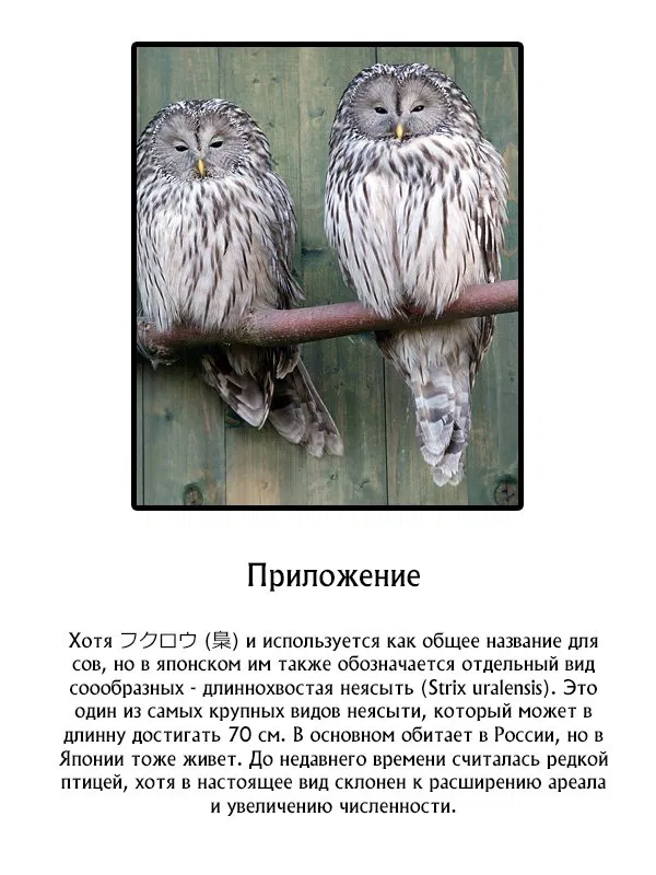 Манга Токийский гуль - Глава 68 Страница 23