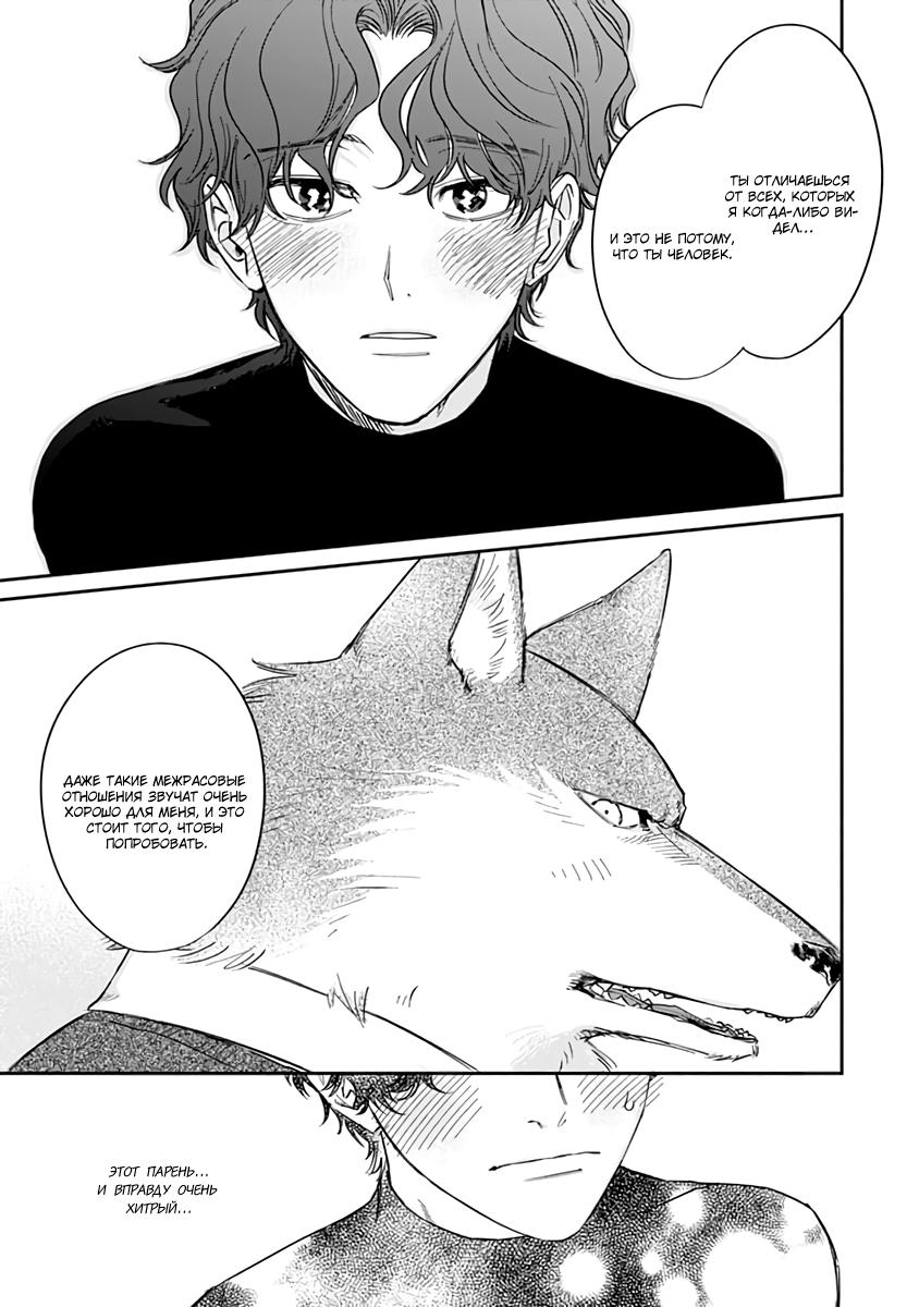 Манга Мистер волк неистово душит меня любовью - Глава 4 Страница 14