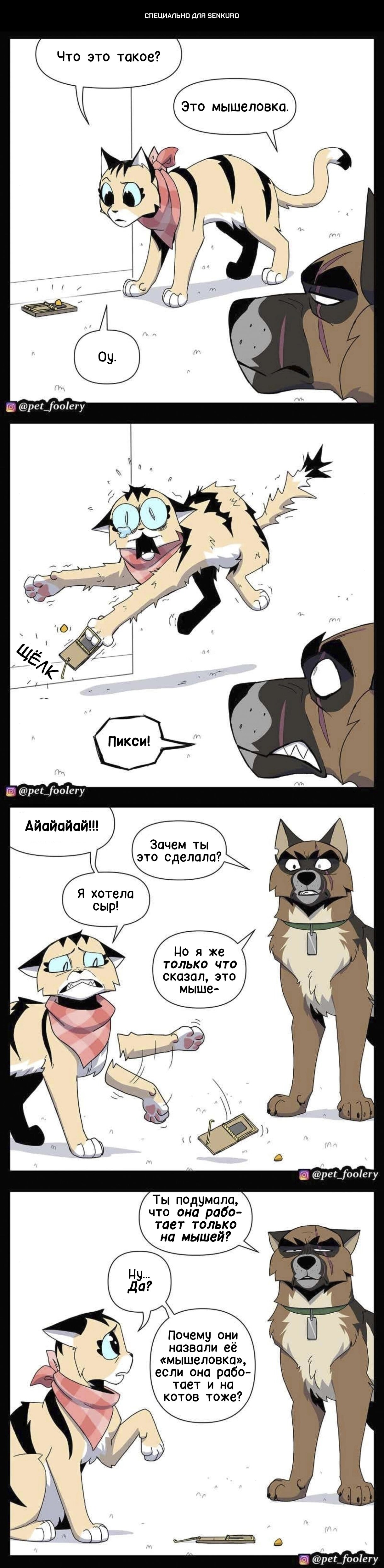 Манга Пикси и Брут - Глава 316 Страница 1