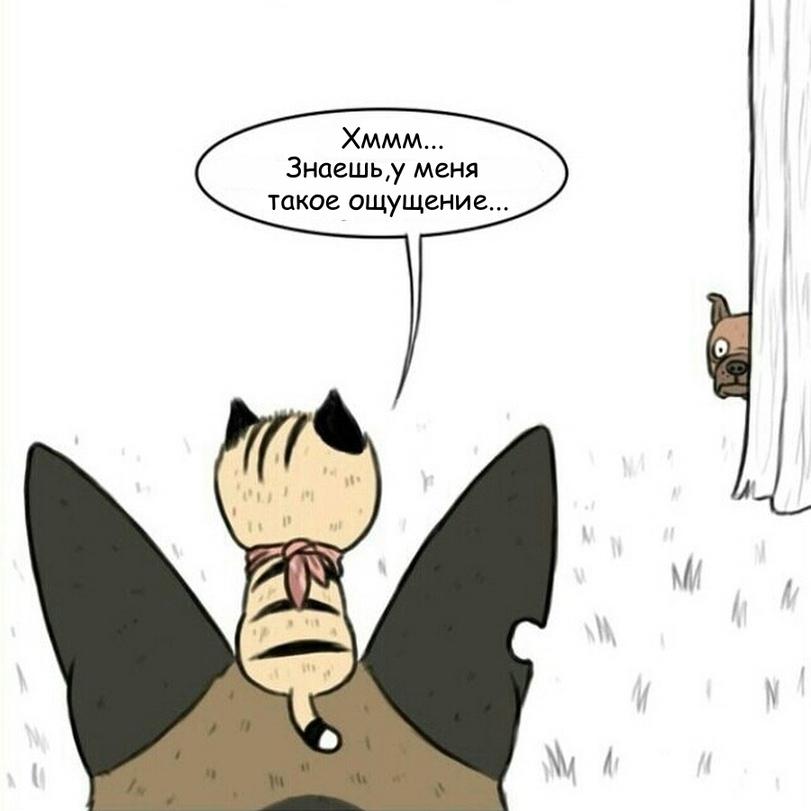 Манга Пикси и Брут - Глава 50 Страница 4