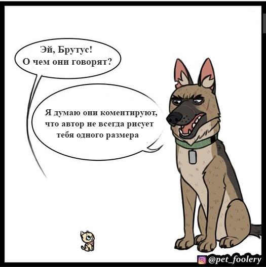 Манга Пикси и Брут - Глава 49 Страница 2