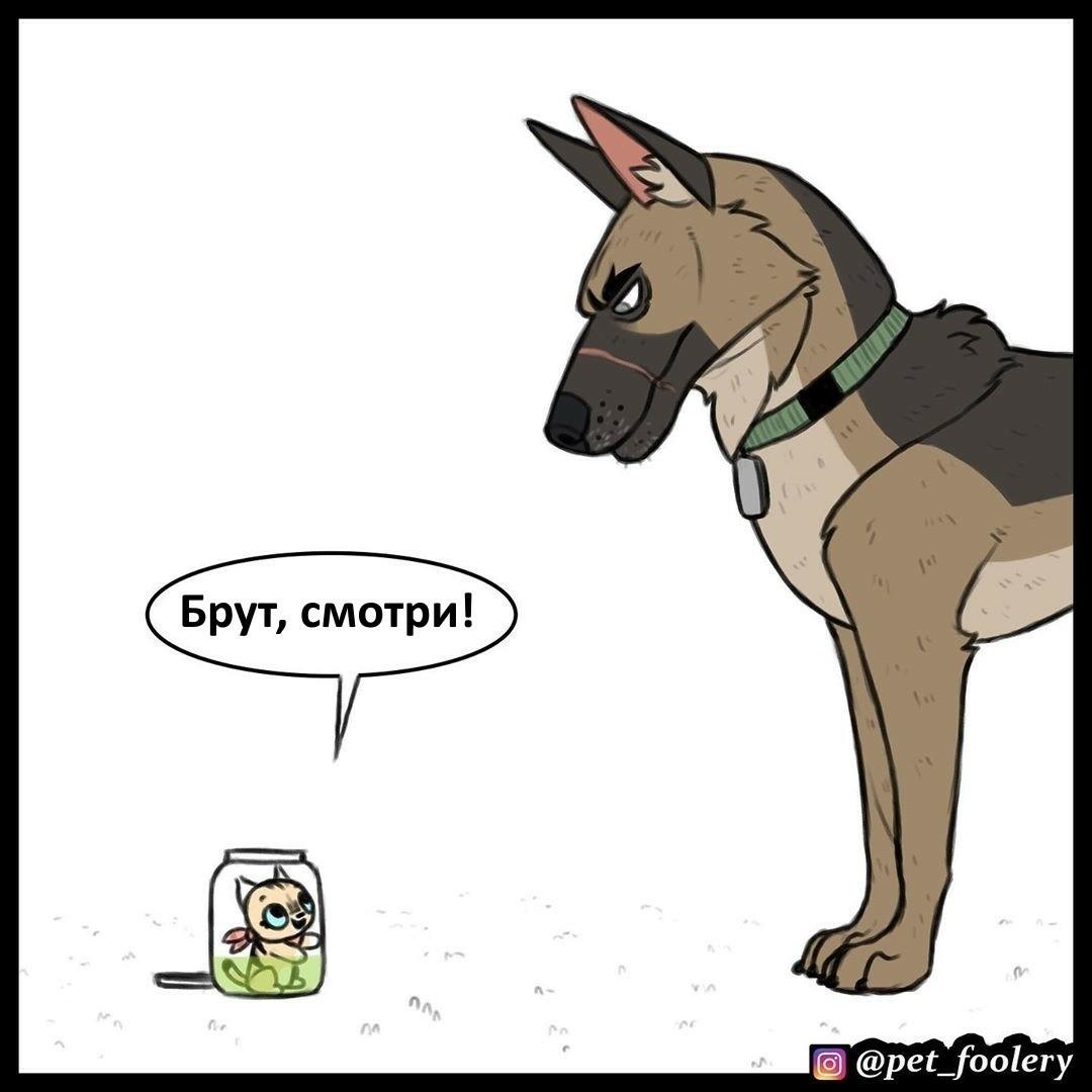 Манга Пикси и Брут - Глава 48 Страница 1