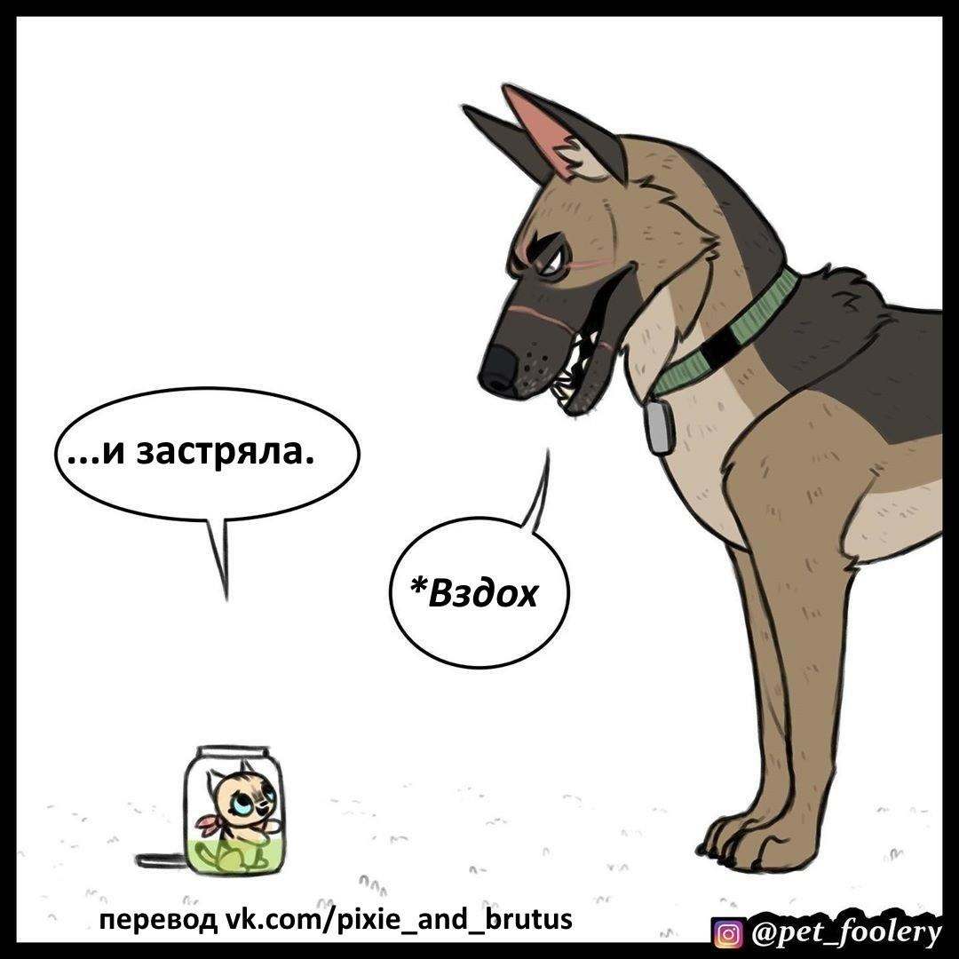 Манга Пикси и Брут - Глава 48 Страница 5
