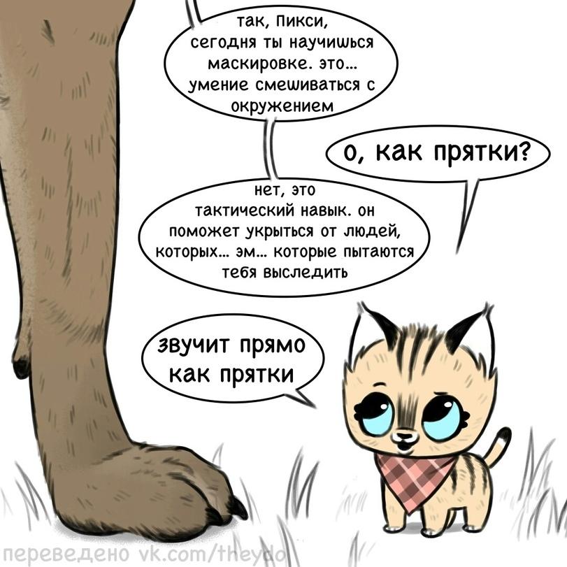 Манга Пикси и Брут - Глава 47 Страница 1